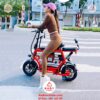 Xe-dap-dien-cho-me-va-be-Burke-3-yen-ghe-tai-trong-lon-02