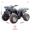 Xe-ATV-125cc-XA2-dong-co-xang-4-thi-02