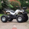 Xe-ATV-DA2-dong-co-dien-48V-500w-07